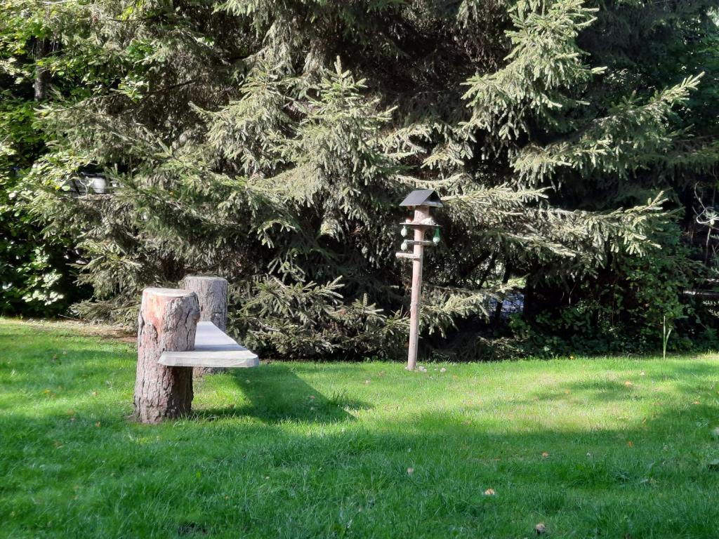Chalet Bord De L'eau photo 1