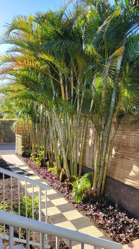 Villa Creole alamanda 2 photo 3