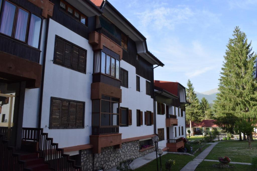 Casa Rosa photo 4