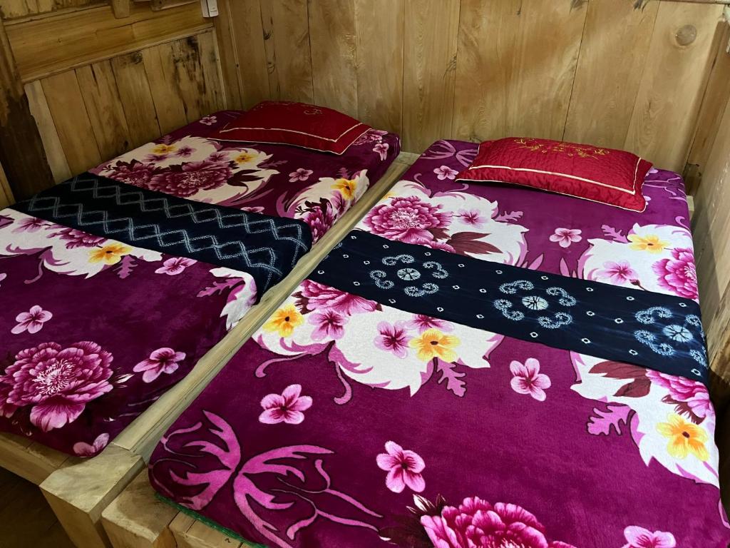 Big Tree Hmong Homestay