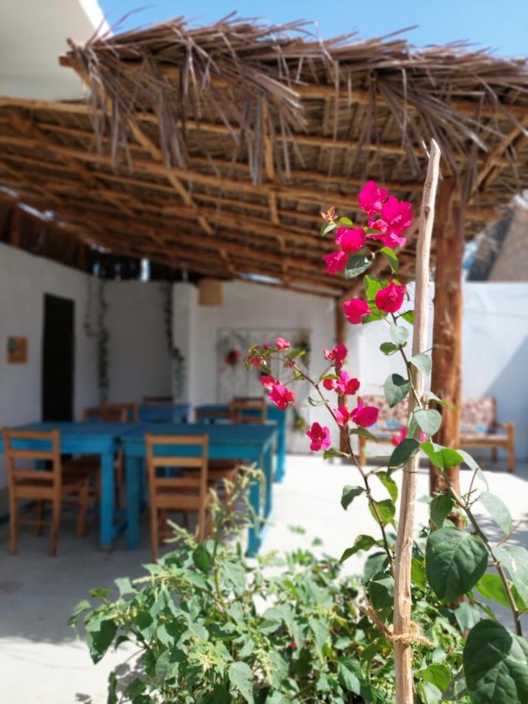 Karibu House photo 2
