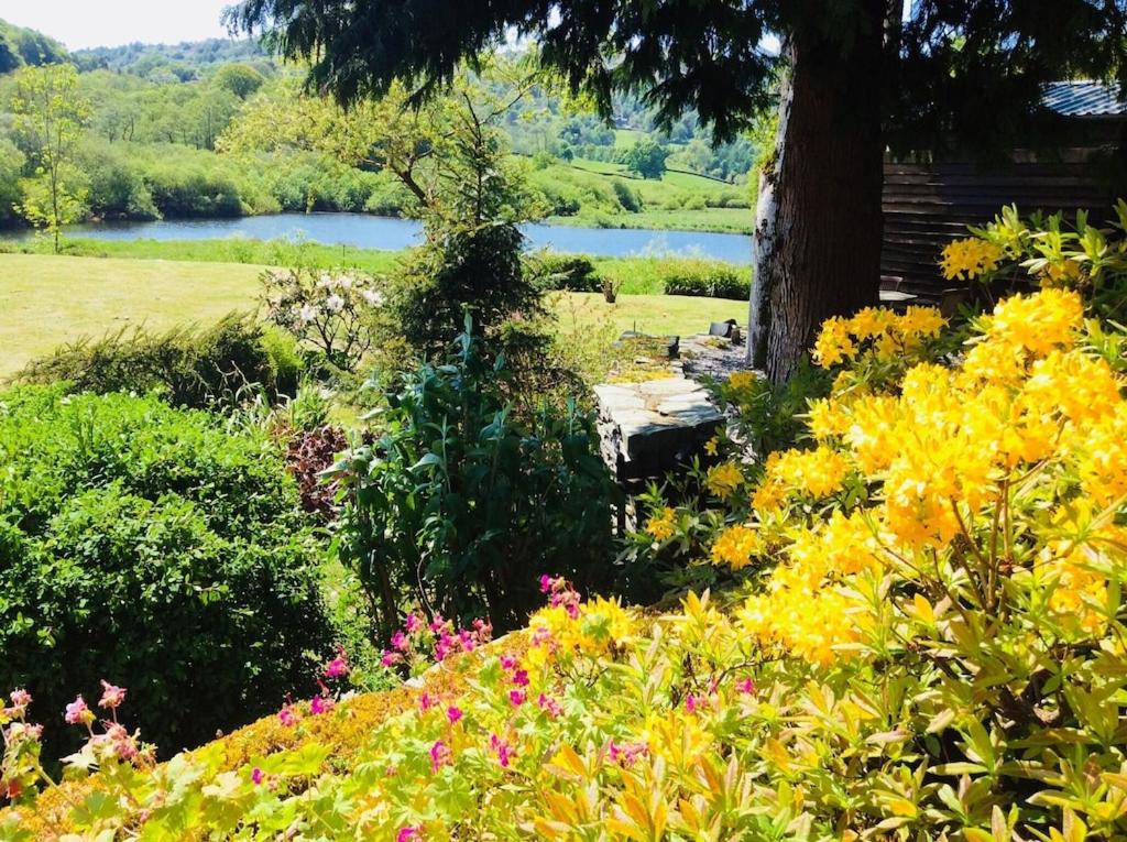 Dove Cot country cottage Ambleside photo 3