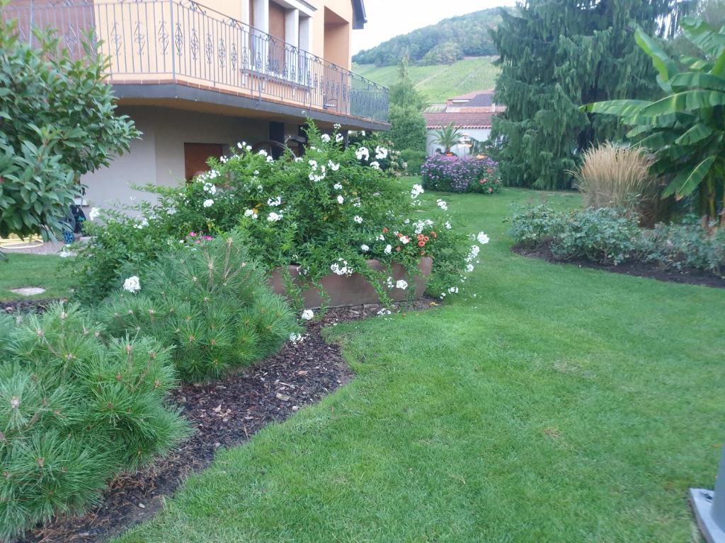 La rocatelle photo 4