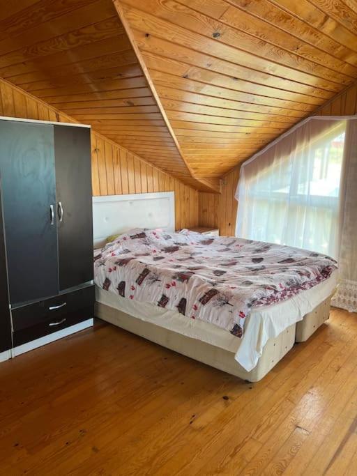 villa55 photo 3