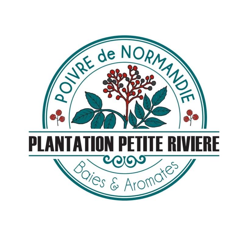 Plantation de poivre- La Petite Rivière photo 1