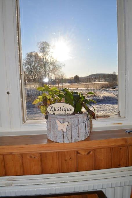 Countryside Holiday home "Our Little Farm" photo 3