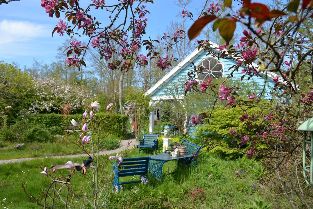 Wonderland photo 4