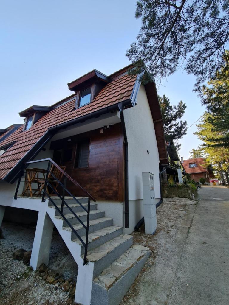 Šumor šume - Tara photo 2