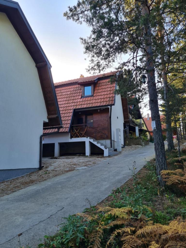 Šumor šume - Tara photo 3