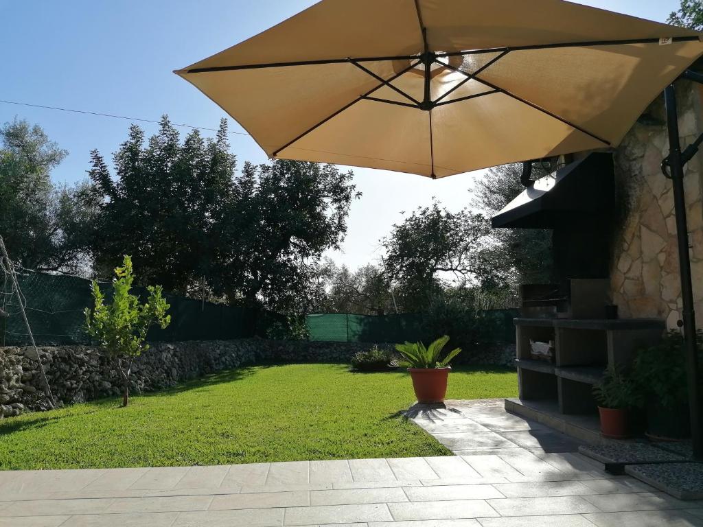 Casa delle Cicale photo 4