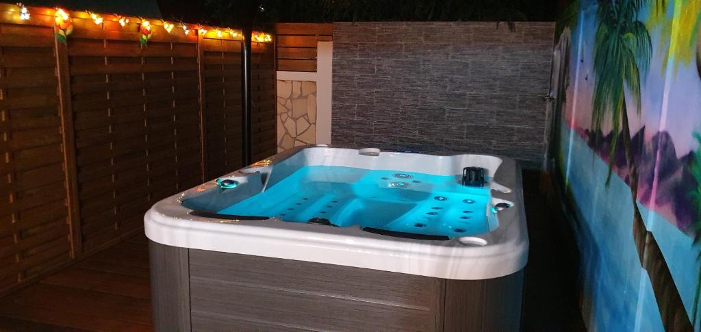 "Chez Claudia "charmant logement avec jacuzzi privatif en toute intimité sur belle terrasse extérieure en bois et piscine photo 1