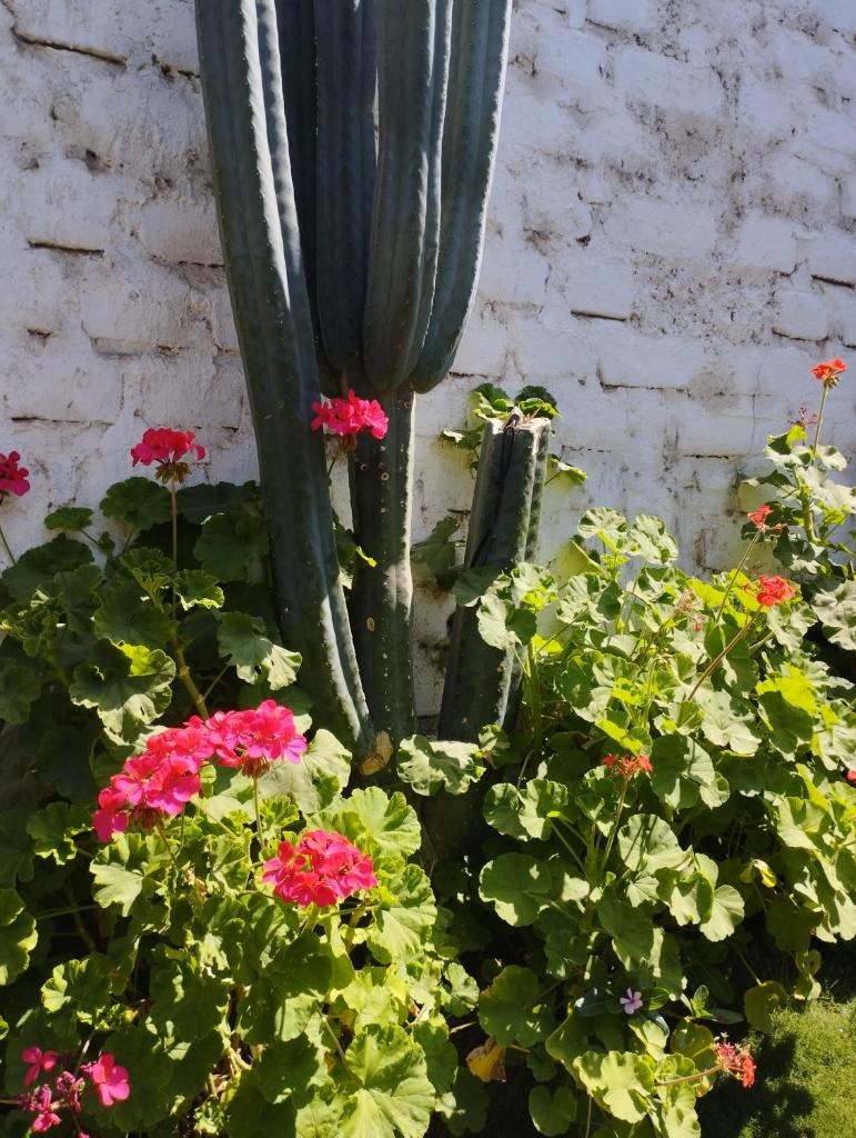 Casa Langla Lunahuana photo 1