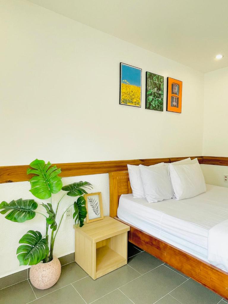 Dalat Topview Homestay