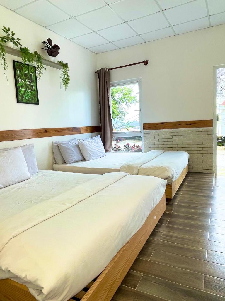 Dalat Topview Homestay