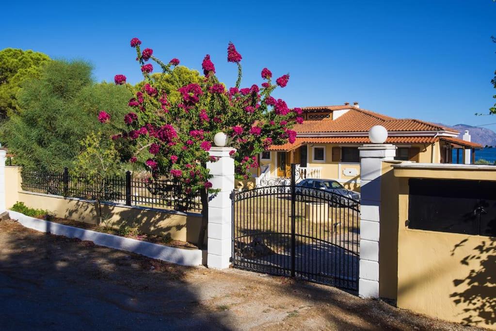Beachfront villa in Galaxidi