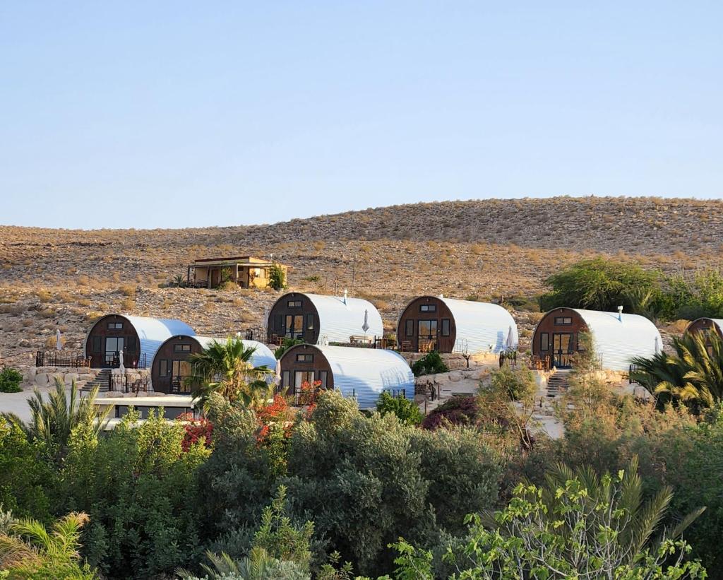 Desert Estate Carmey Avdat photo 2