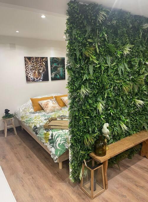 Charmant chalet jungle avec balneo photo 3