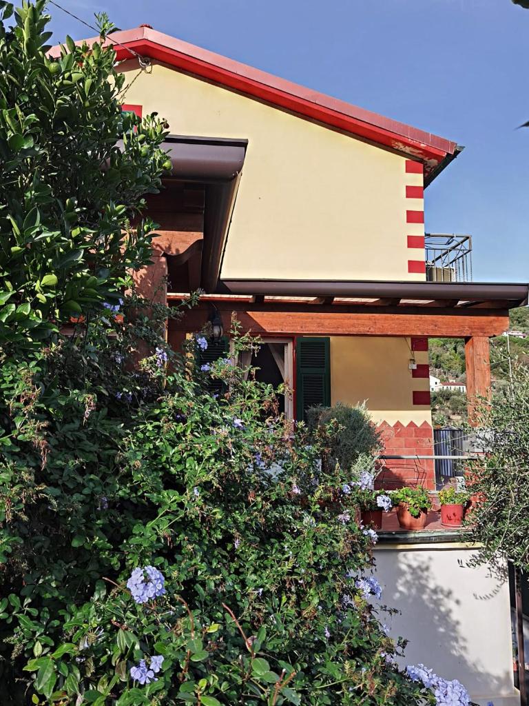 Villa Patrizia photo 4