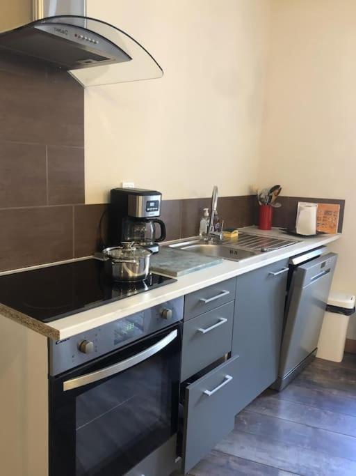 -Le Petit Mouton- Spacieux logement centre ville photo 1