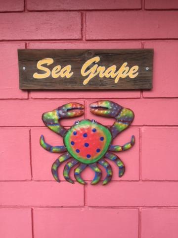 Sea Grape Cottage - At Casas de la Playa Central photo 4