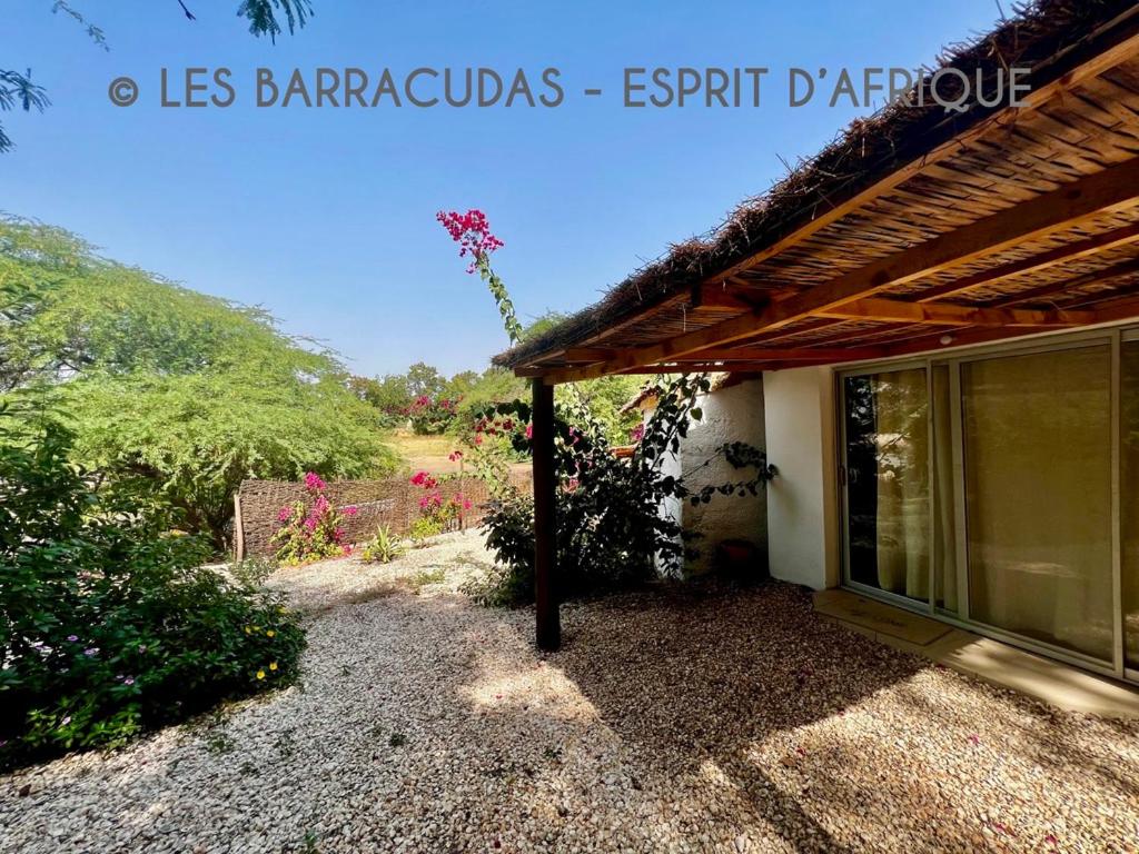 Les Barracudas photo 2