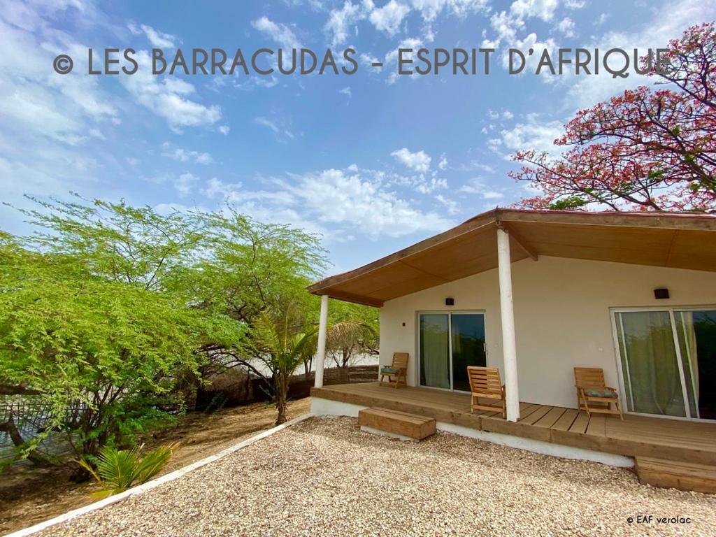 Les Barracudas photo 1