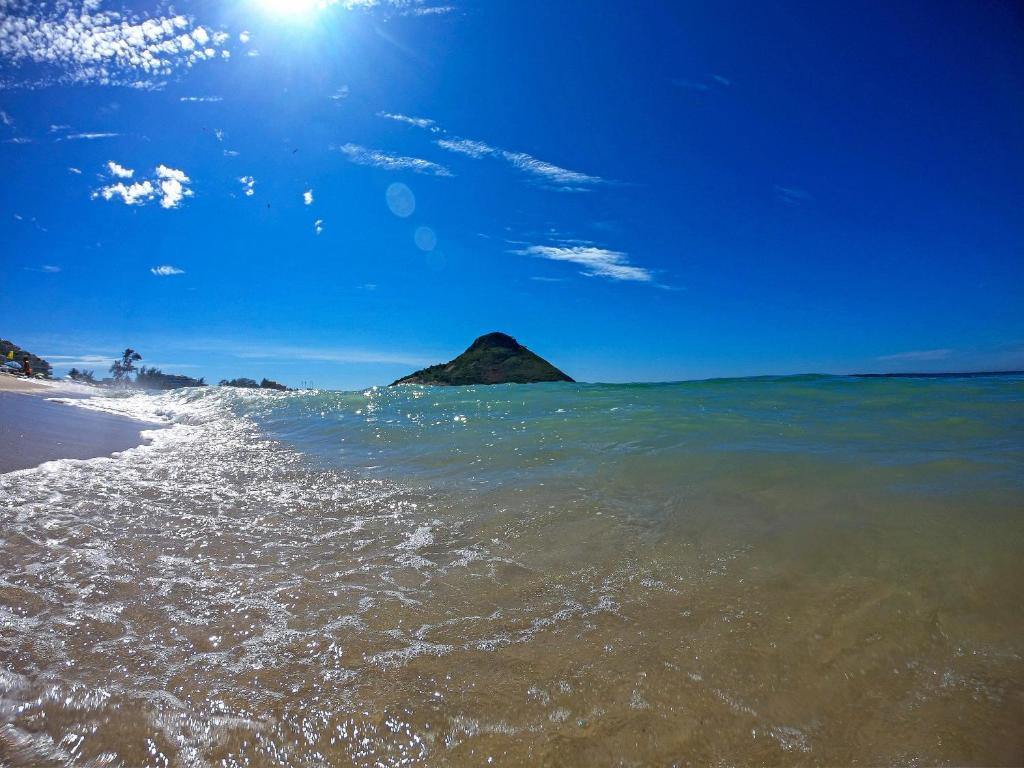 Longboard Paradise Surf Club photo 3