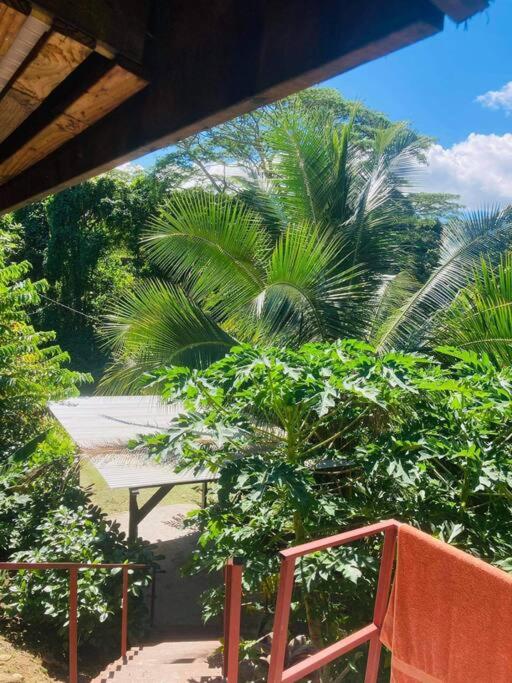Ohana Location Ravissant appart spacieux parking gratuit à uturoa photo 2