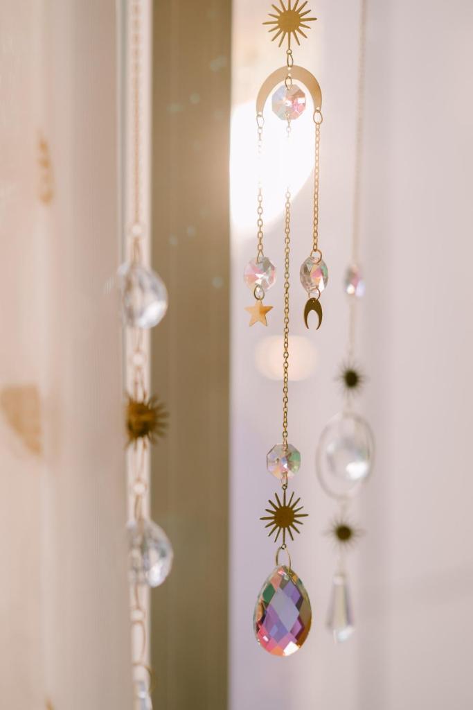 Houseplant Room In The Beach City