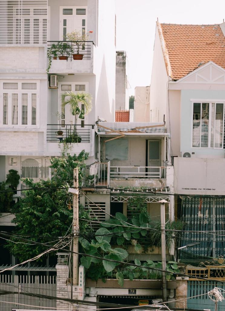 Houseplant Room In The Beach City