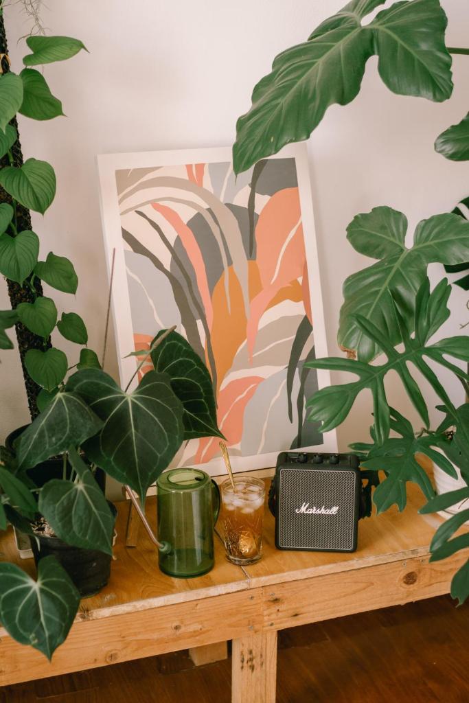 Houseplant Room In The Beach City