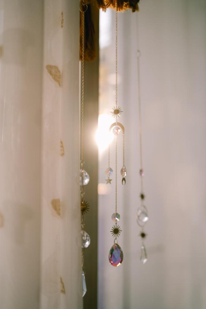 Houseplant Room In The Beach City