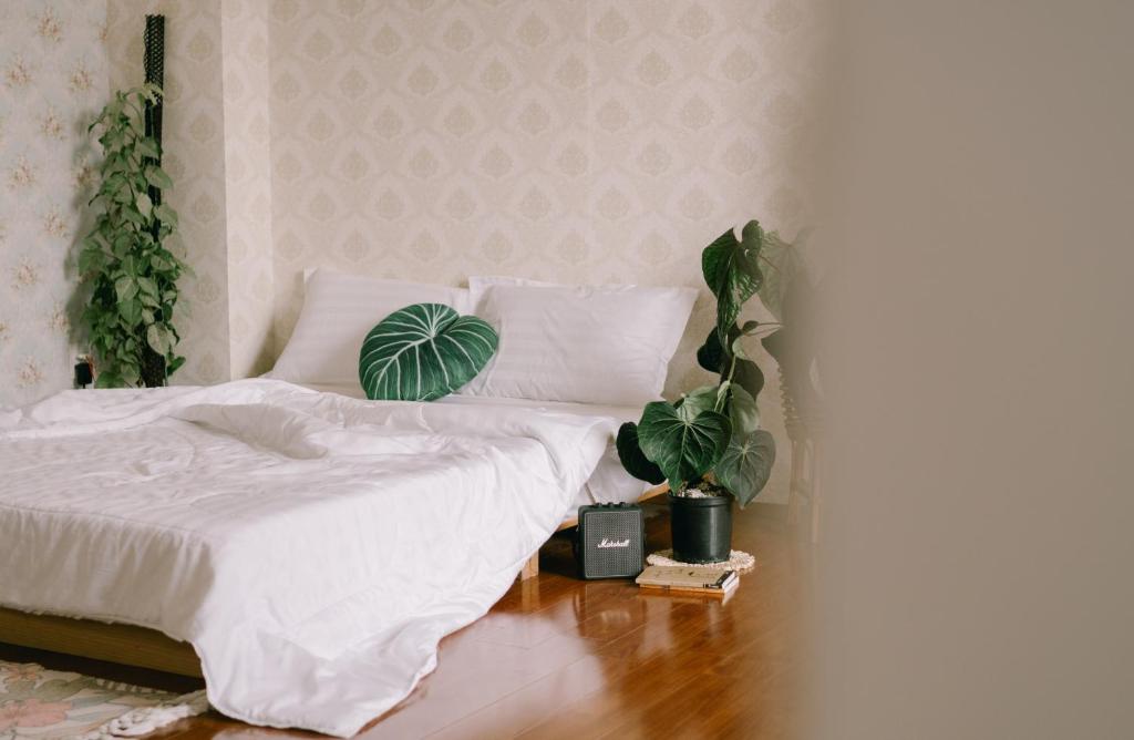 Houseplant Room In The Beach City