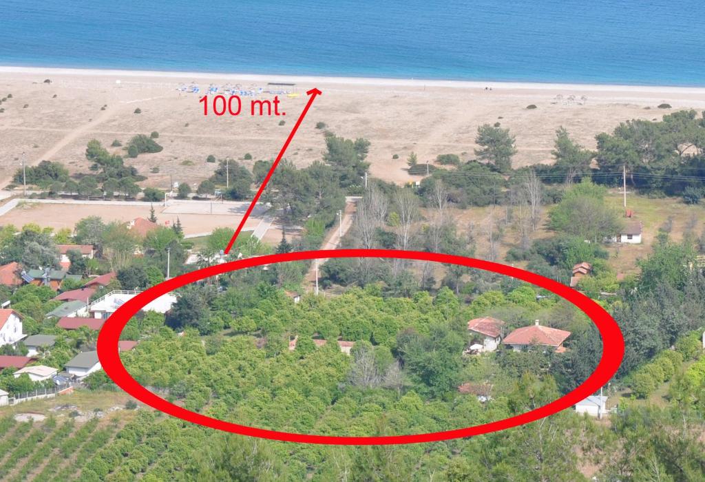 Kimera - Akdeniz Bahcesi Apart Hotel photo 3