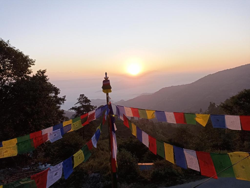 Dubochaur Rest house & homestay photo 1