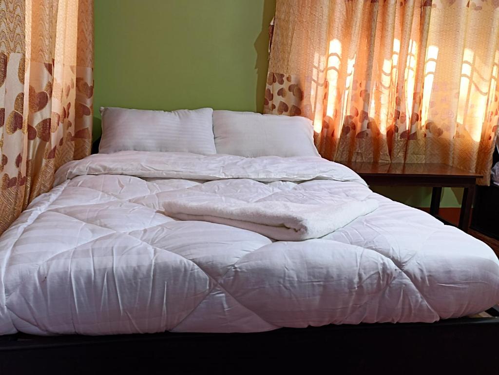 Dubochaur Rest house & homestay photo 4