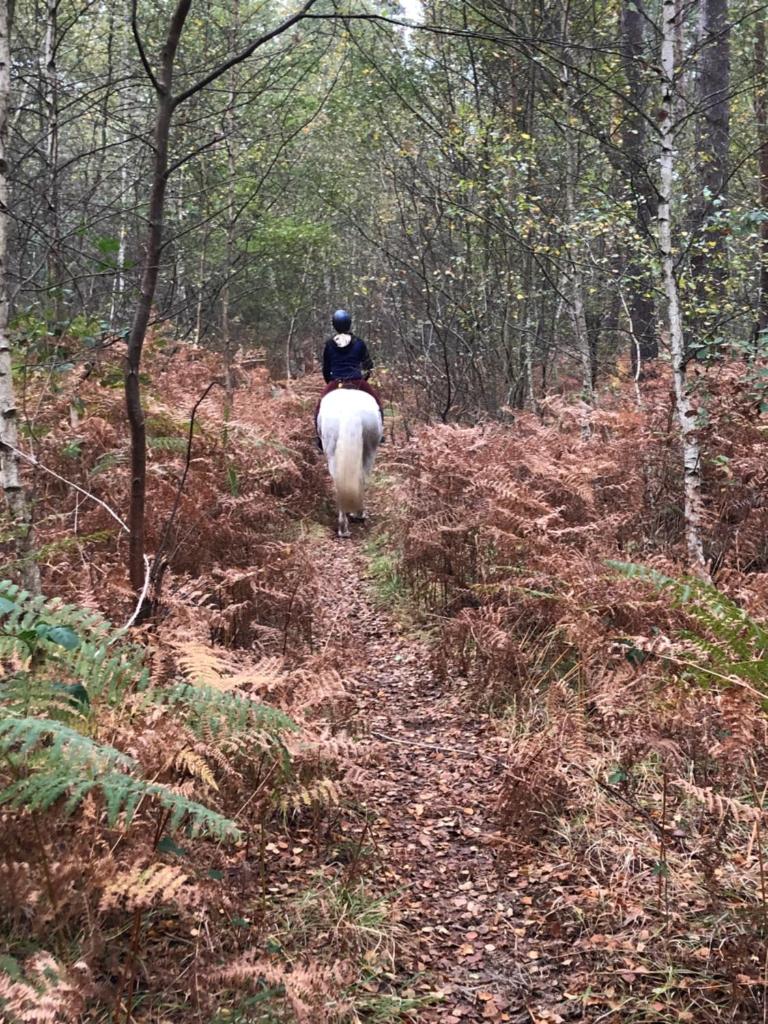 Séjour dans un havre de paix, avec votre cheval, à pieds ou à vélo entre amis, en famille ou seul avec votre compagnon de rando! photo 2