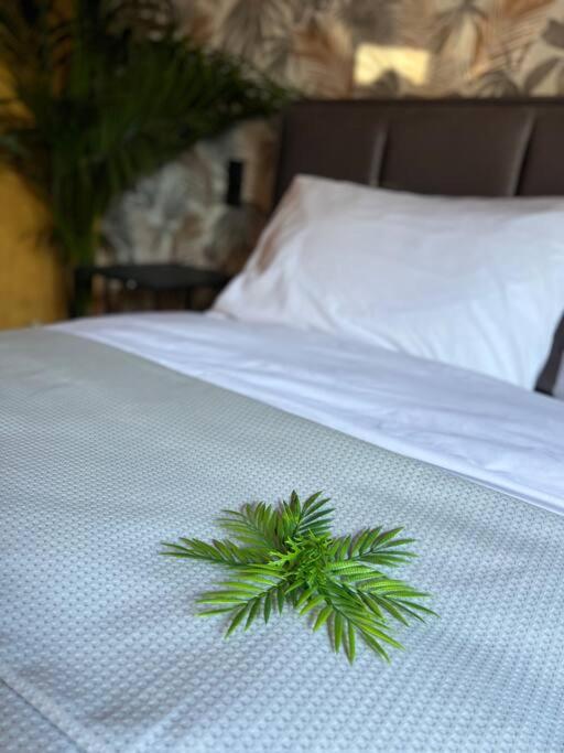 Lampsakou suites 2-bedroom house in VOLOS photo 4