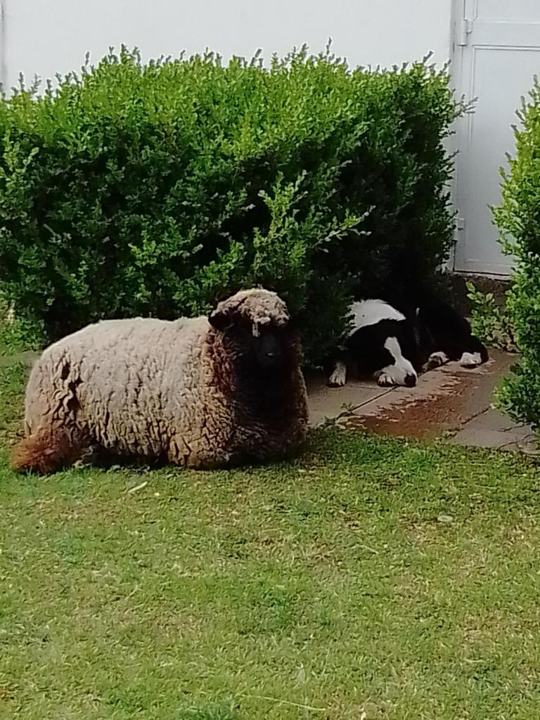 Posada de campo LA AMADA photo 2