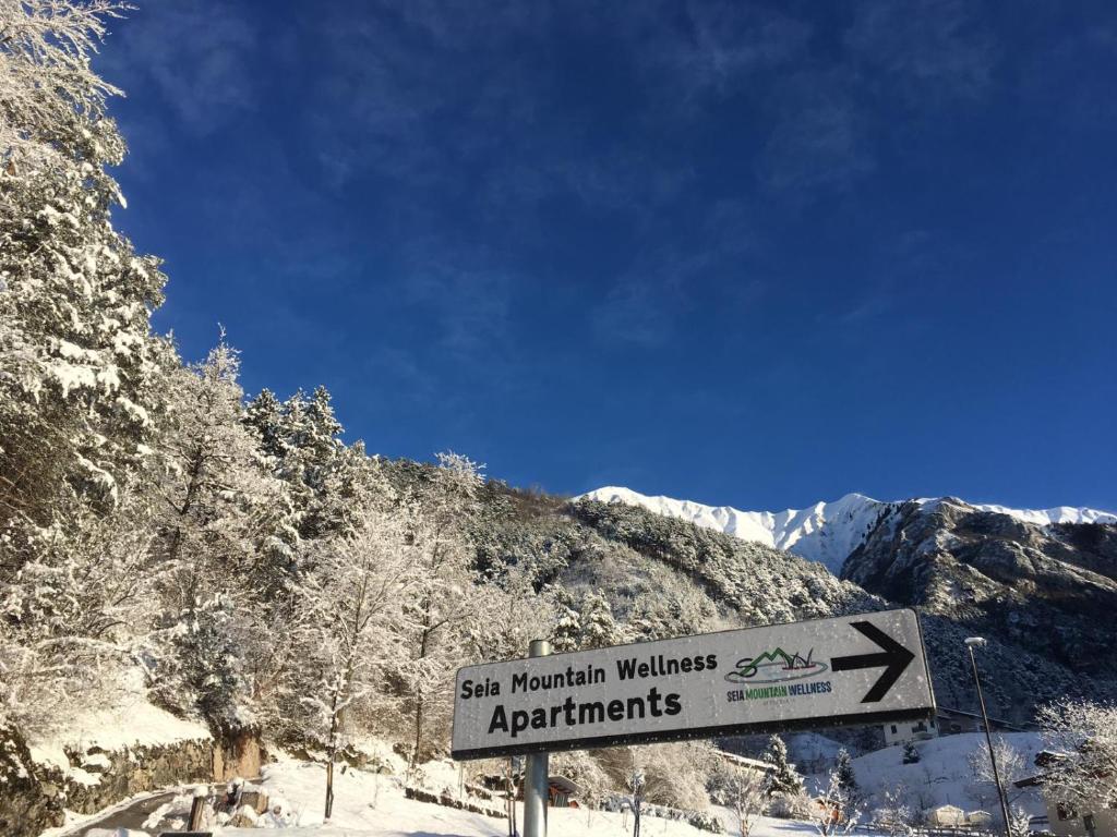 Seia Mountain Wellness photo 1