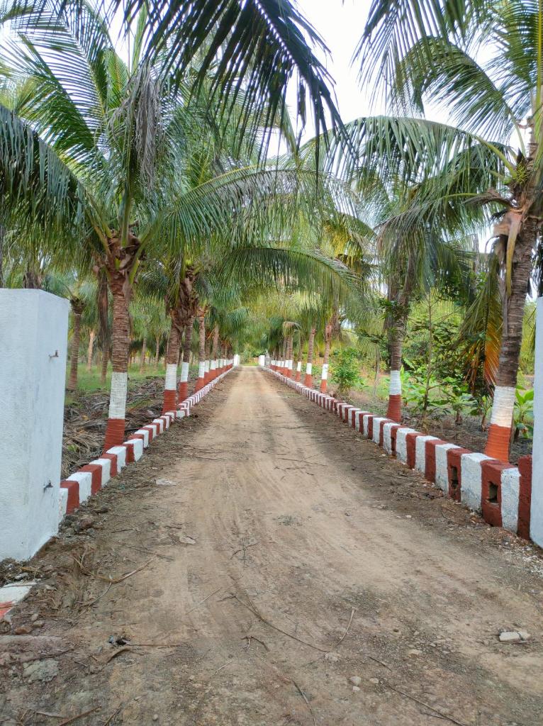 Gir Ganesh Farm & Resort photo 1