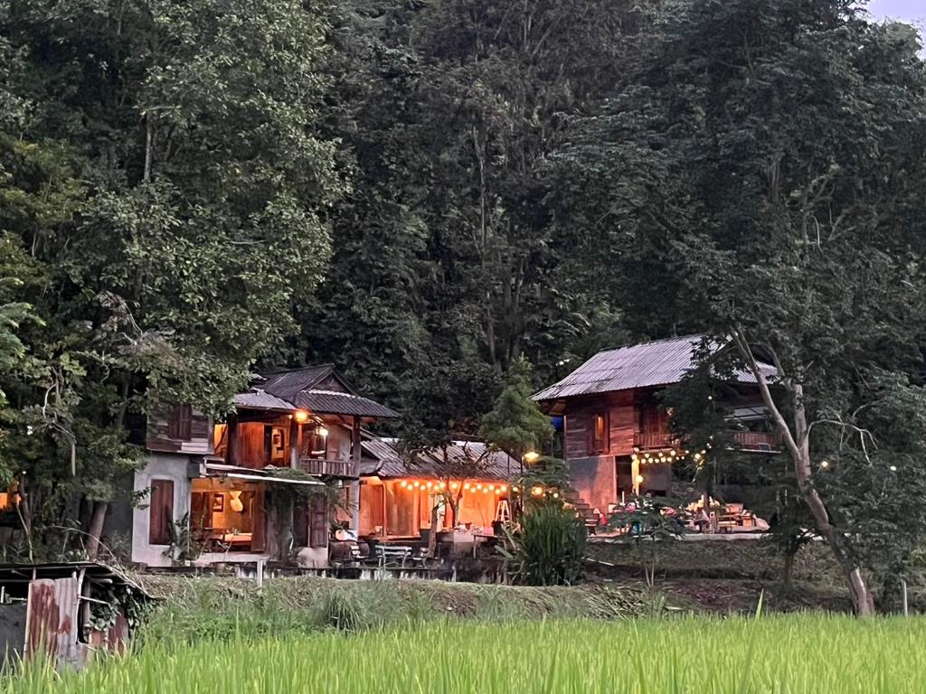 467 Chiang Dao photo 1