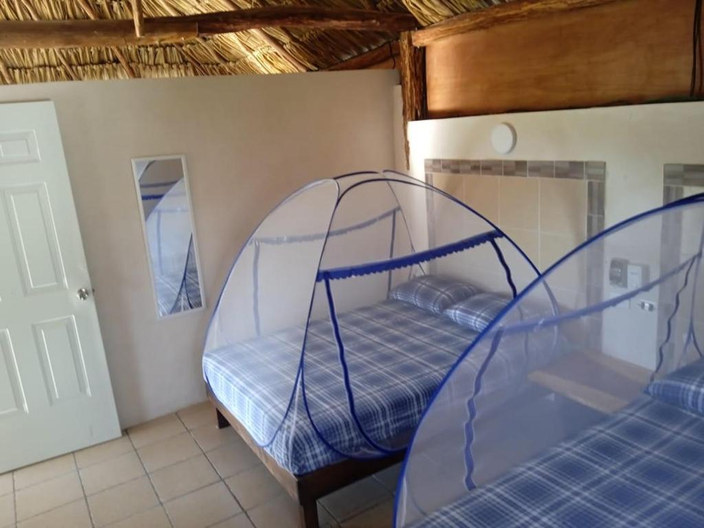 Paraiso Cocoyito en Chelem photo 1