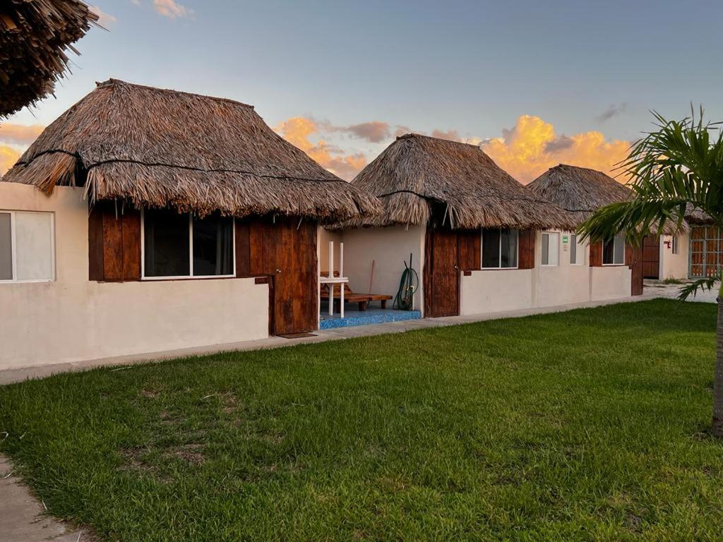 Paraiso Cocoyito en Chelem photo 3