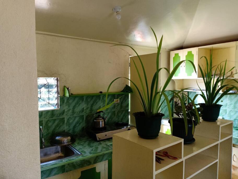 LJRC HOMESTAY photo 4
