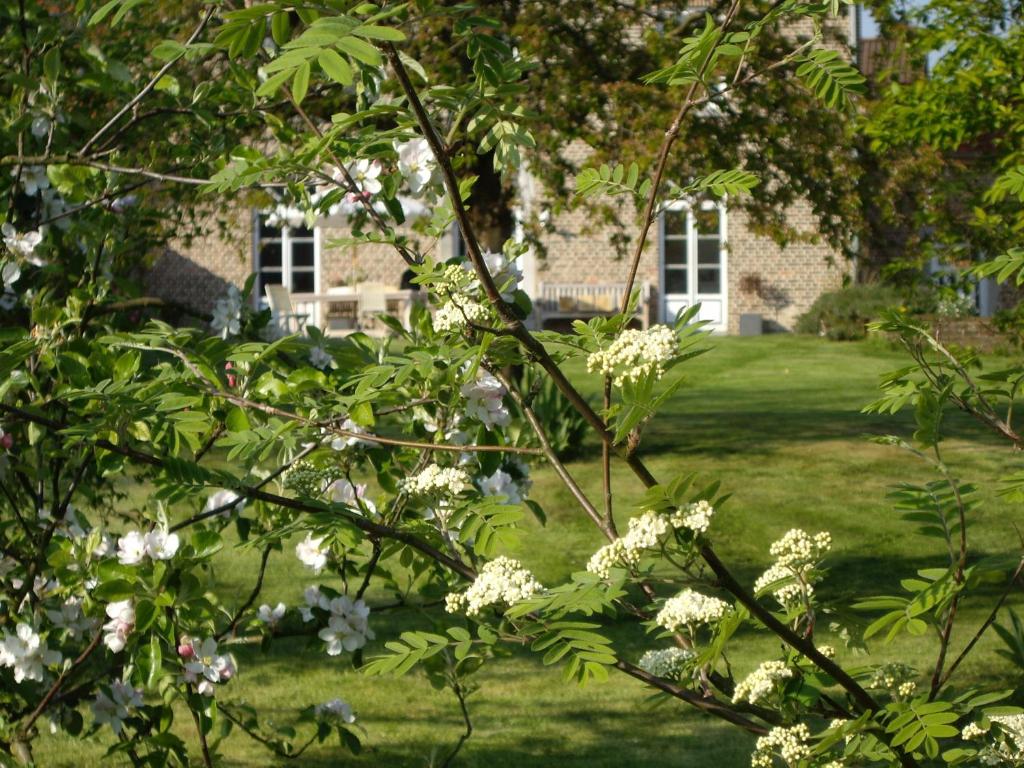 B&B Schoon Goed photo 3