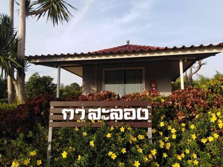 Khao Kho Flora photo 2