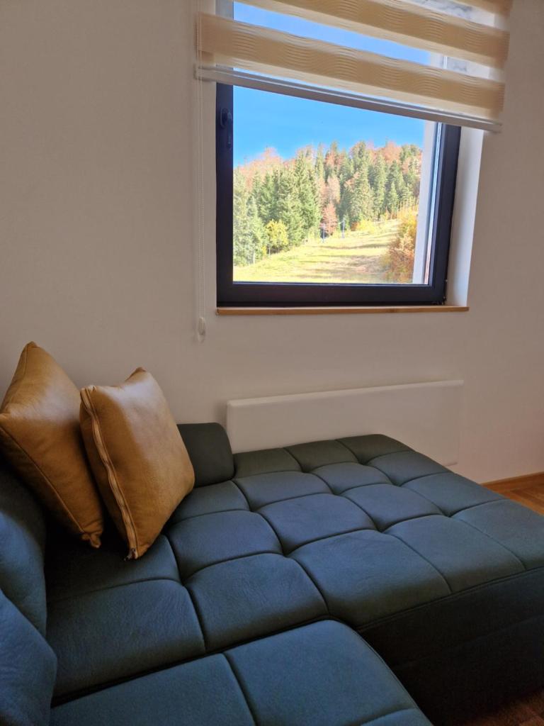 Cozy Ski Apartment Jahorina photo 3