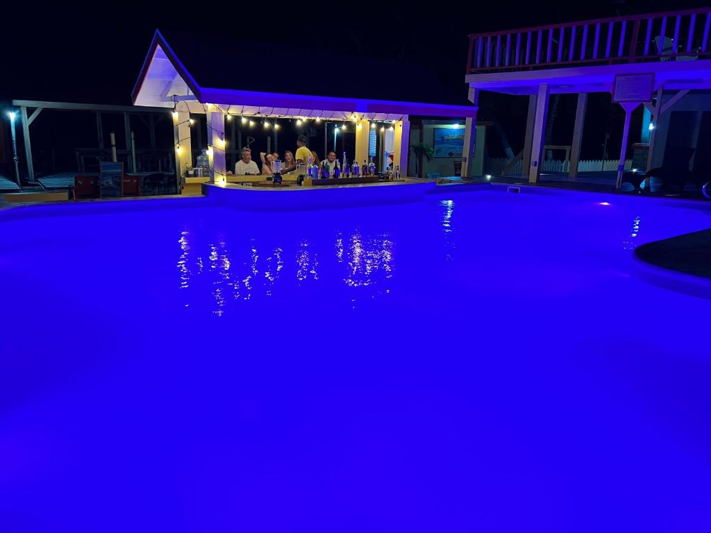 Tropical Paradise photo 1