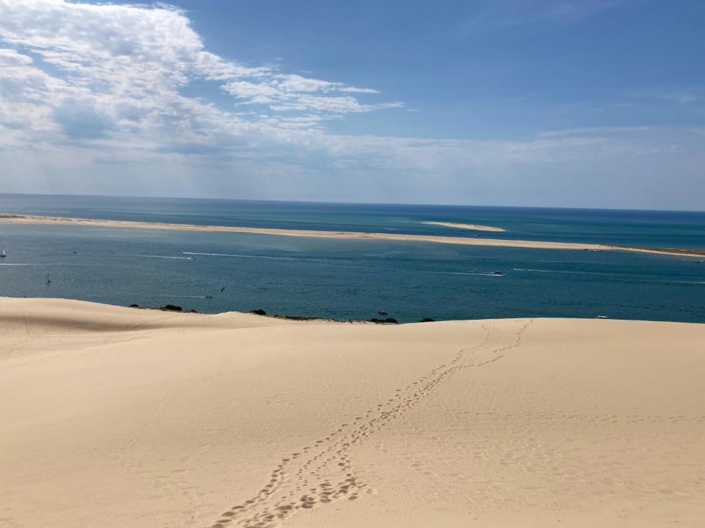 :Le tchanqué du bassin d'arcachon (:Le tchanque du bassin d'arcachon) - 화장실